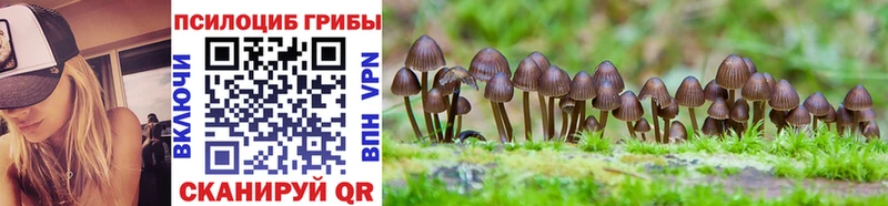 дарнет шоп  Фурманов  Галлюциногенные грибы прущие грибы 